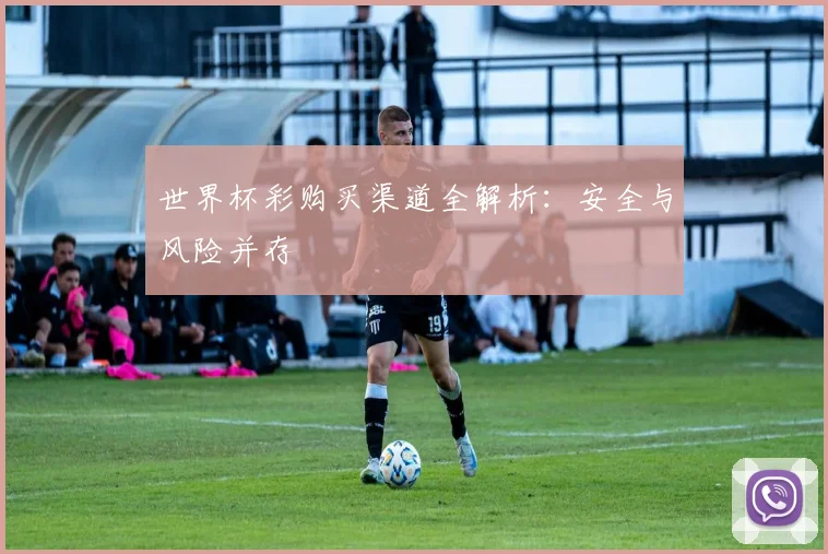 世界杯彩购买渠道全解析：安全与风险并存