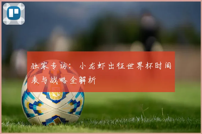 独家专访：小龙虾出征世界杯时间表与战略全解析